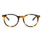 Brown Acetate Frames