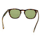 Brown Men Sunglasses