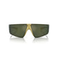 Arnette Gold Resin Sunglasses