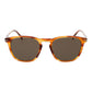 David Beckham Brown Men Sunglasses