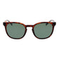 Timberland Brown Men Sunglasses