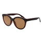 Serengeti Brown Women Sunglass