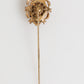 Dolce & Gabbana Gold Tone Green Stone Antique Men Accessory Brooch Pin
