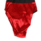 Dolce & Gabbana Red Satin High-Waist Briefs Logo Women Underwear