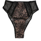 Dolce & Gabbana Black Floral Lace Sheer Mesh High Waist Underwear