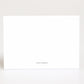 Dolce & Gabbana Multicolor Leopard Print Envelope Paper Post Card Holder