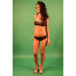 Denny Rose Brown Polyester Swimwear