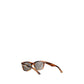 Balenciaga Brown Acetate Sunglasses