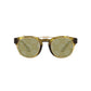Giorgio Armani Brown Acetate Sunglasses