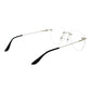 BMW Silver Titanium Glasses (Frames)
