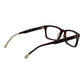 Lozza Brown Cellulose Acetate Glasses (Frames)
