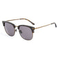 Belstaff Brown Titanium Sunglasses