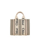 Chloé Brown Canvas Handbag
